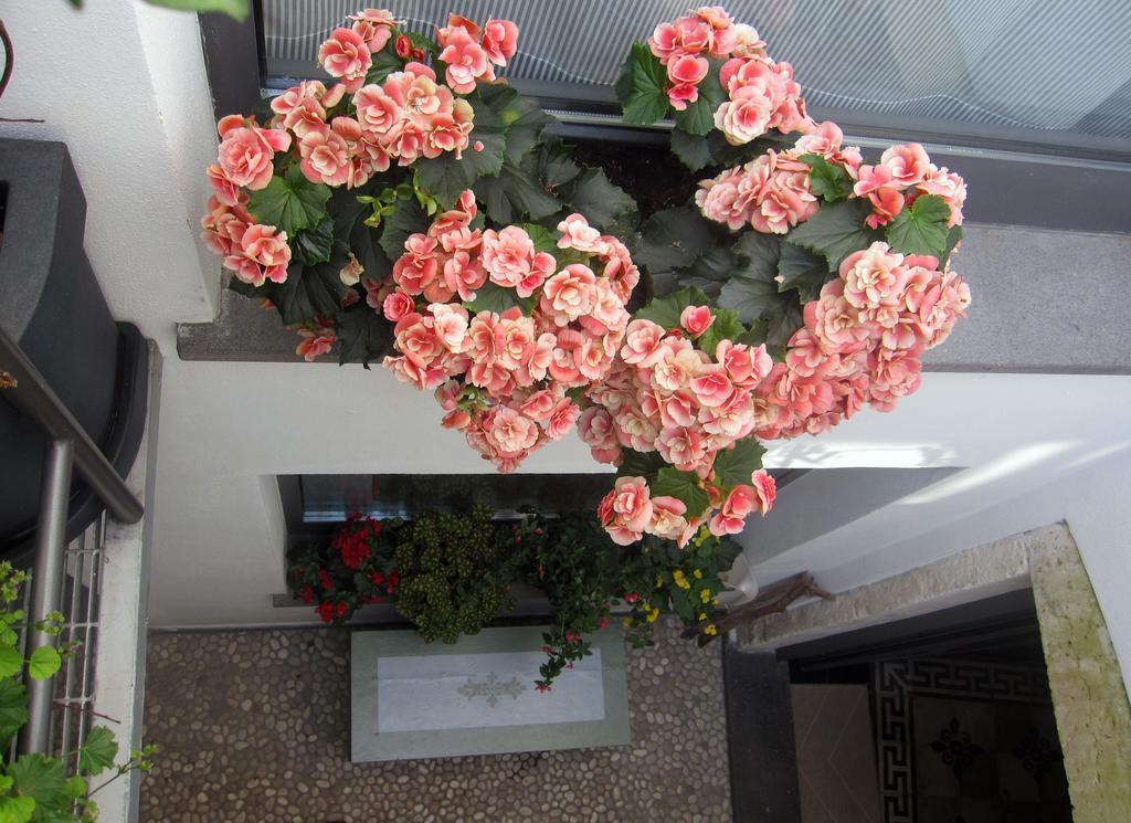Brancadoria B&B Monteleone Rocca Doria Kültér fotó